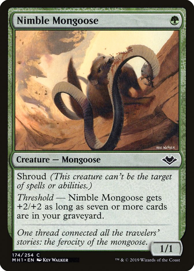 Nimble Mongoose [Modern Horizons] | Nerdhalla Games