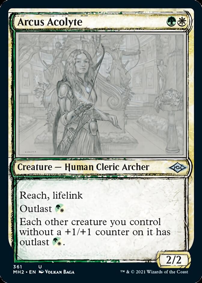 Arcus Acolyte (Sketch) [Modern Horizons 2] | Nerdhalla Games