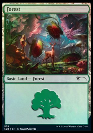 Forest (Predatory) (578) [Secret Lair Drop Promos] | Nerdhalla Games