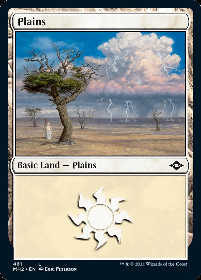 Plains (481) (Foil Etched) [Modern Horizons 2] | Nerdhalla Games