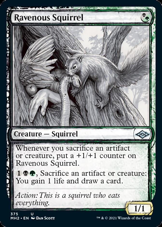 Ravenous Squirrel (Sketch) [Modern Horizons 2] | Nerdhalla Games