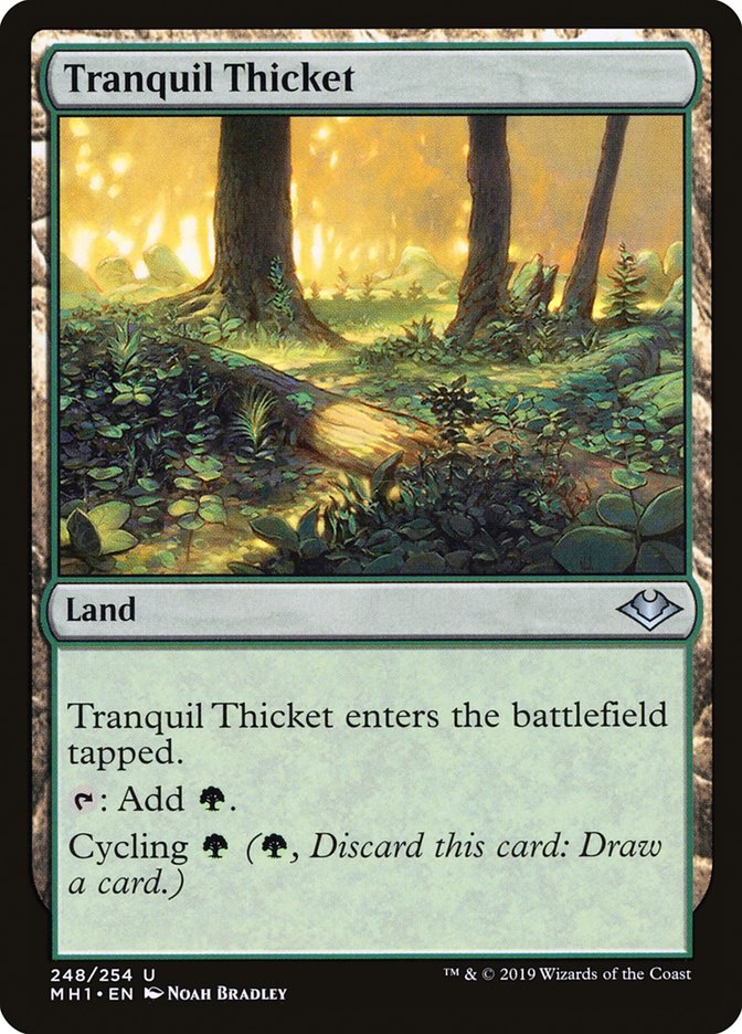 Tranquil Thicket [Modern Horizons] | Nerdhalla Games