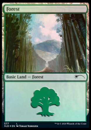 Forest (Walls) (577) [Secret Lair Drop Promos] | Nerdhalla Games