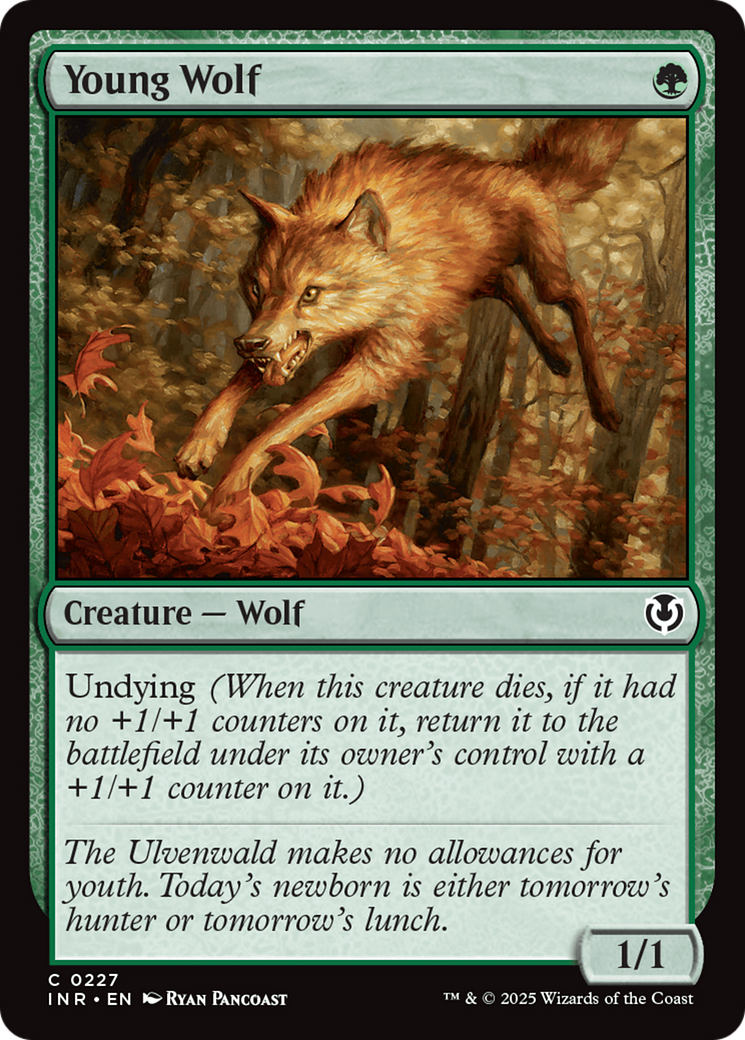 Young Wolf [Innistrad Remastered] | Nerdhalla Games