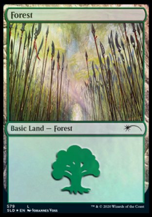 Forest (Elves) (579) [Secret Lair Drop Promos] | Nerdhalla Games