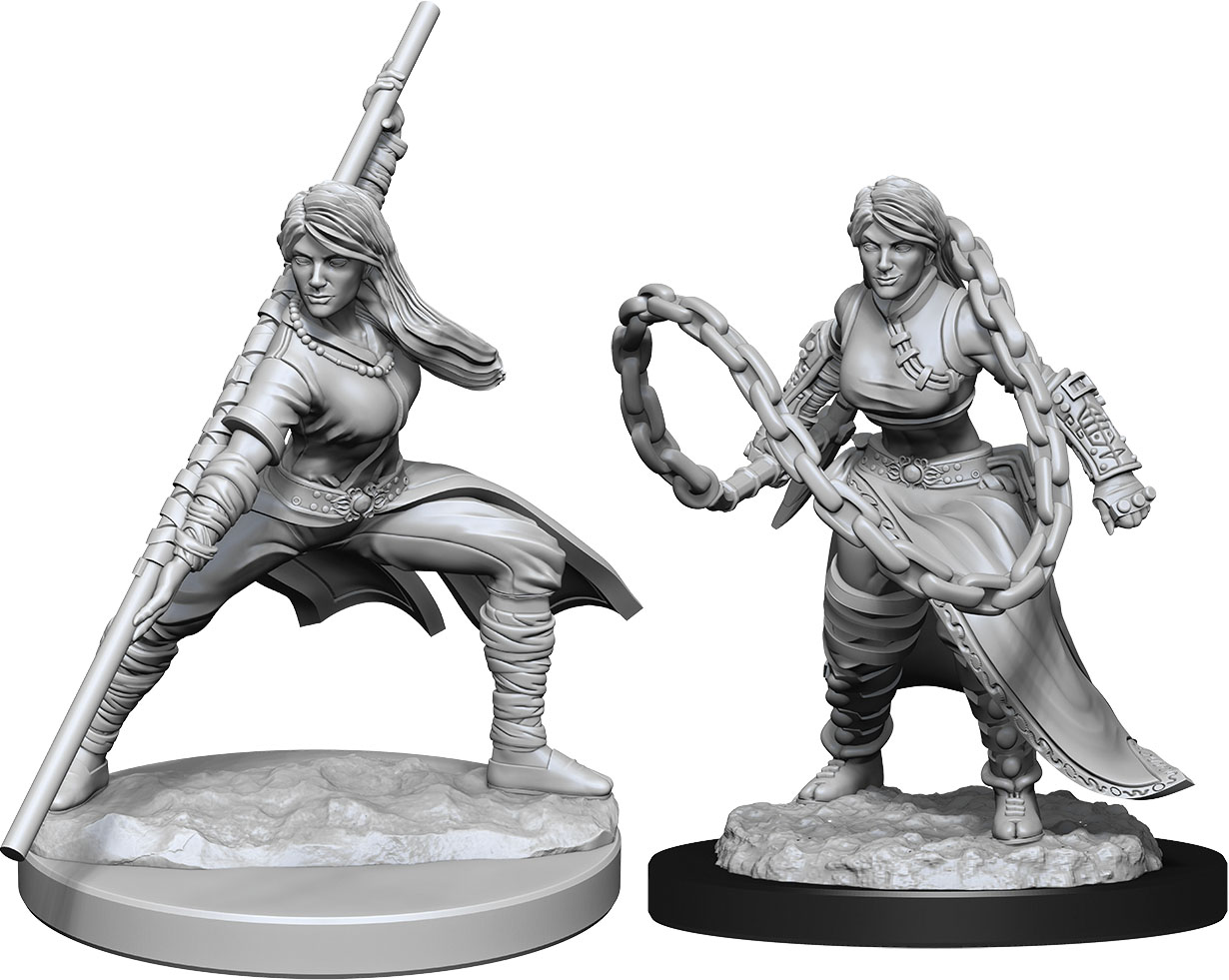 WizKids:  Nolzur's Marvelous Miniatures W#14 - Human Monk (Female) | Nerdhalla Games