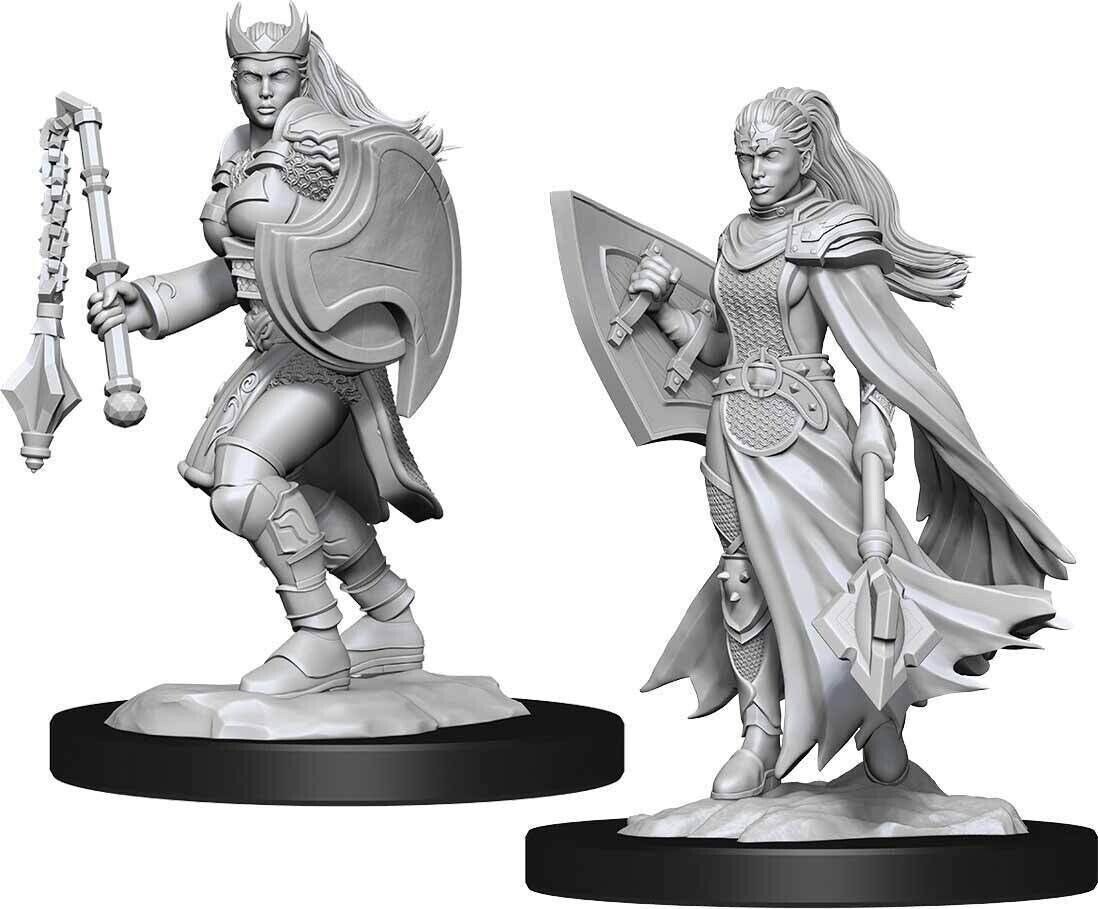 WizKids:  Nolzur's Marvelous Miniatures Wave#14 - Kalashtar Cleric | Nerdhalla Games