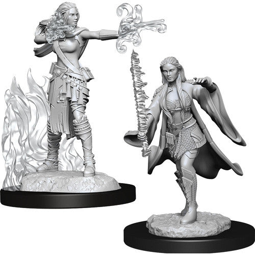 WizKids:  Nolzur's Marvelous Miniature Wave #13 - Multiclass Warlock & Sorcerer | Nerdhalla Games