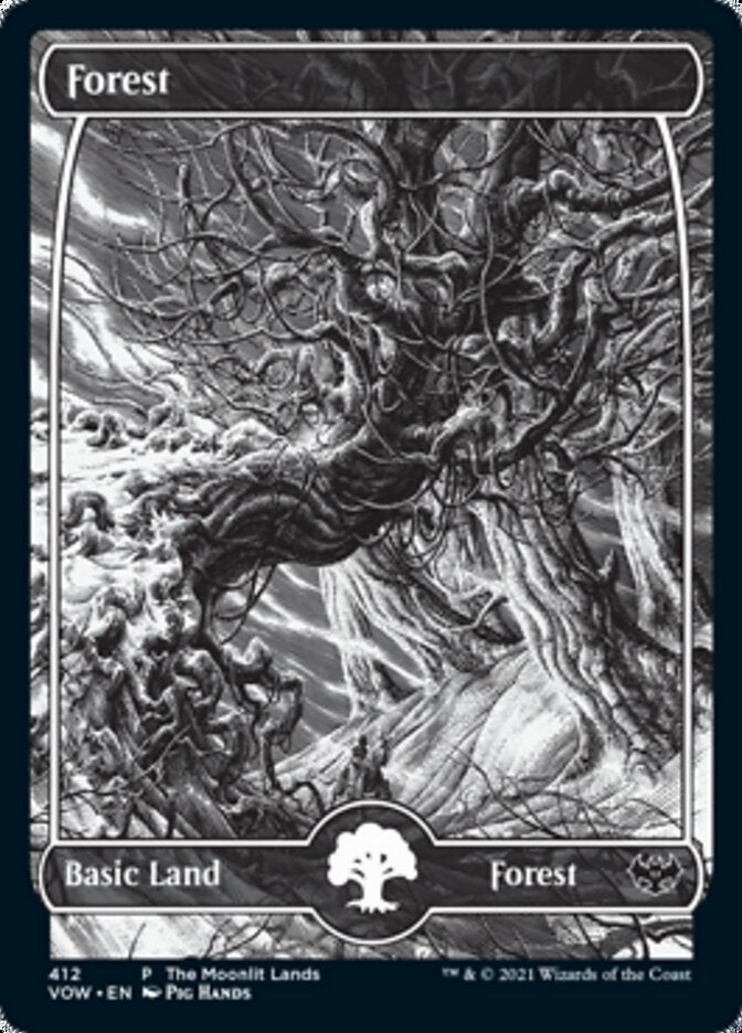 Forest (The Moonlit Lands) (Foil Etched) [Innistrad: Crimson Vow Promos] | Nerdhalla Games