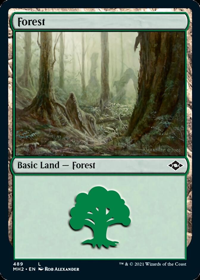 Forest (489) (Foil Etched) [Modern Horizons 2] | Nerdhalla Games