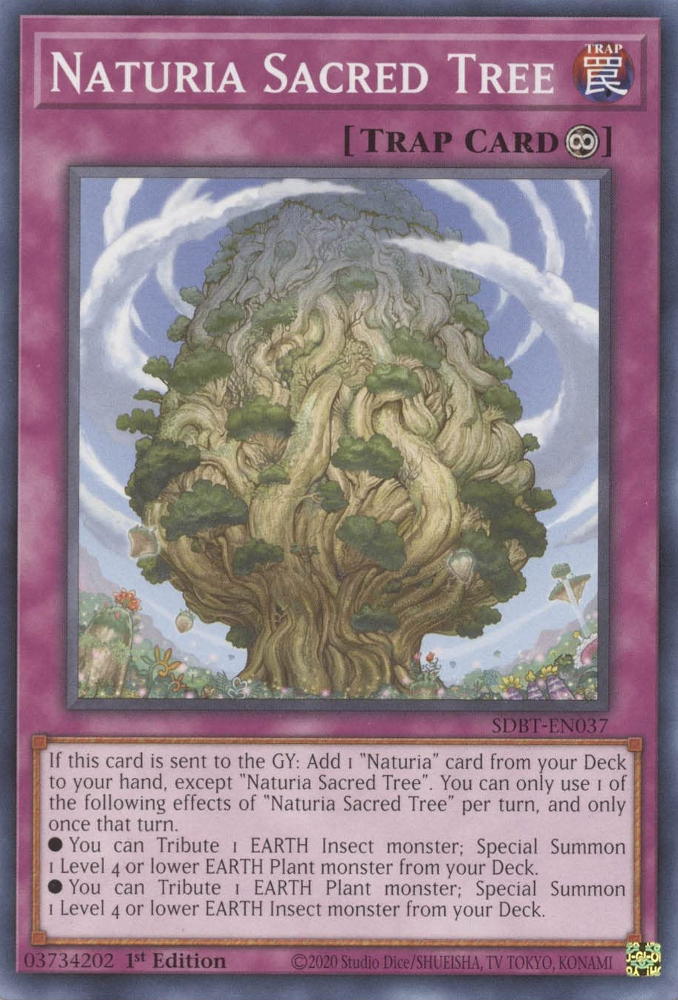 Naturia Sacred Tree [SDBT-EN037] Common | Nerdhalla Games