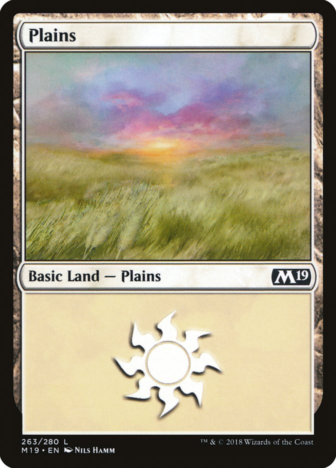 Plains (263) [Core Set 2019] | Nerdhalla Games