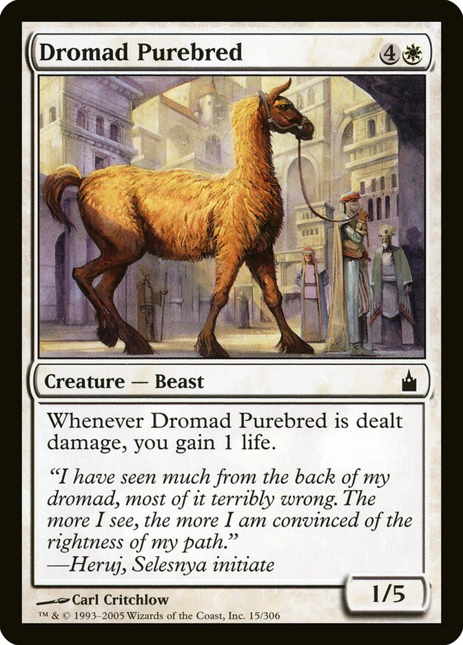 Dromad Purebred [Ravnica: City of Guilds] | Nerdhalla Games