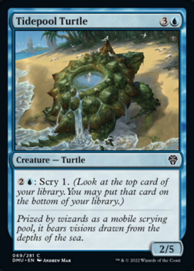 Tidepool Turtle [Dominaria United] | Nerdhalla Games