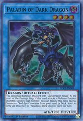 Paladin of Dark Dragon (Green) [DLCS-EN069] Ultra Rare | Nerdhalla Games