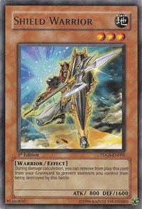 Shield Warrior [TDGS-EN005] Rare | Nerdhalla Games