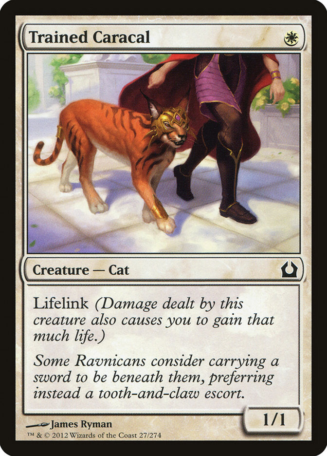 Trained Caracal [Return to Ravnica] | Nerdhalla Games