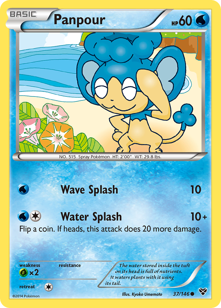 Panpour (37/146) [XY: Base Set] | Nerdhalla Games