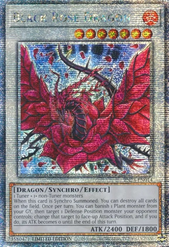 Black Rose Dragon [TN23-EN014] Quarter Century Secret Rare | Nerdhalla Games