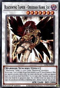 Blackwing Tamer - Obsidian Hawk Joe [LDS2-EN042] Common | Nerdhalla Games