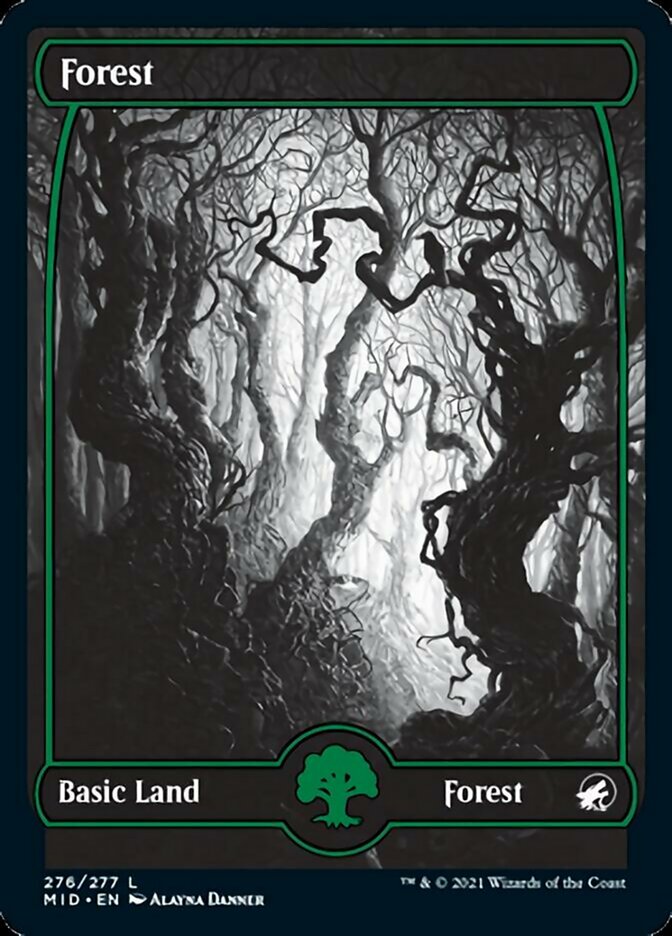 Forest (276) [Innistrad: Midnight Hunt] | Nerdhalla Games