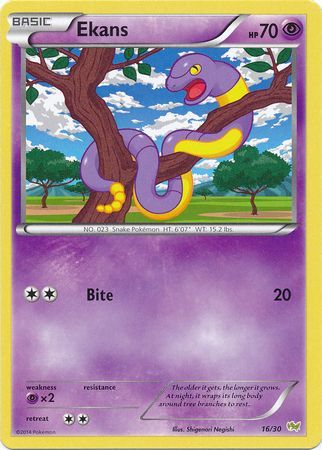 Ekans (16/30) [XY: Trainer Kit - Noivern] | Nerdhalla Games