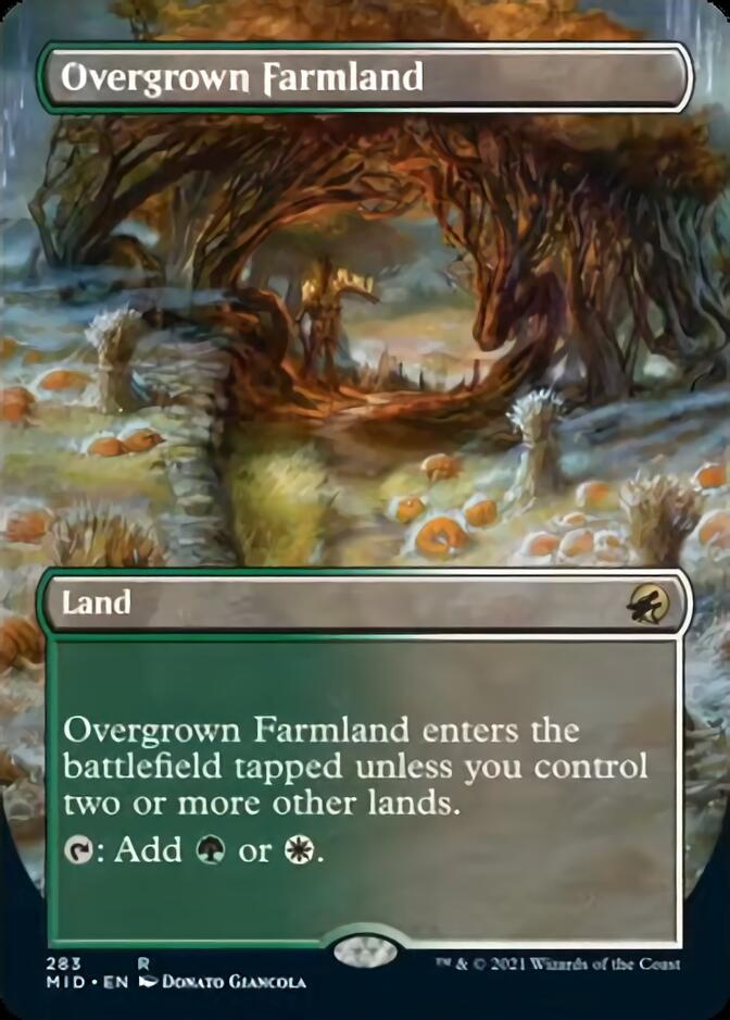 Overgrown Farmland (Borderless) [Innistrad: Midnight Hunt] | Nerdhalla Games