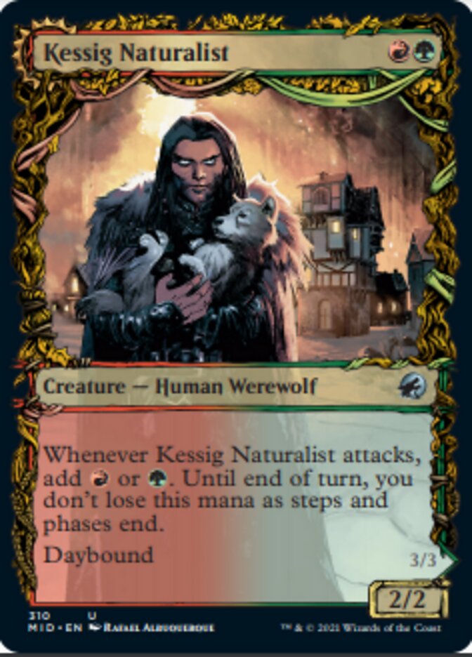 Kessig Naturalist // Lord of the Ulvenwald (Showcase Equinox) [Innistrad: Midnight Hunt] | Nerdhalla Games