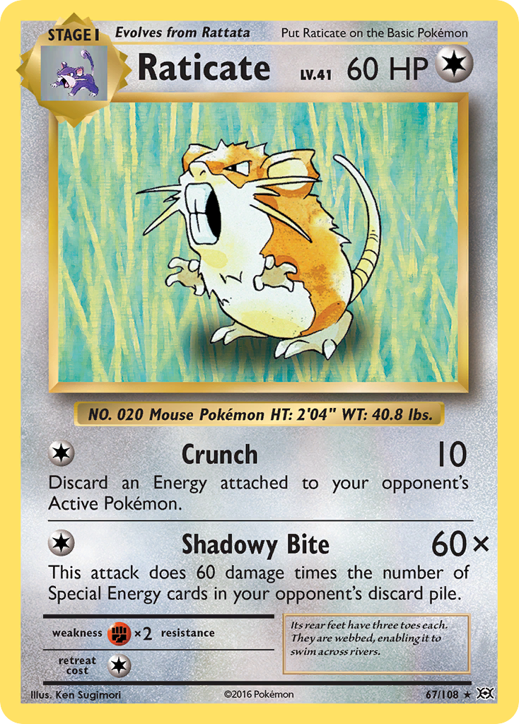 Raticate (67/108) [XY: Evolutions] | Nerdhalla Games