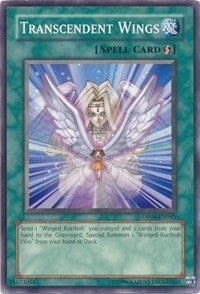 Transcendent Wings [DR04-EN045] Common | Nerdhalla Games