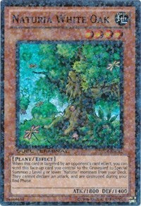 Naturia White Oak [DT04-EN081] Super Rare | Nerdhalla Games