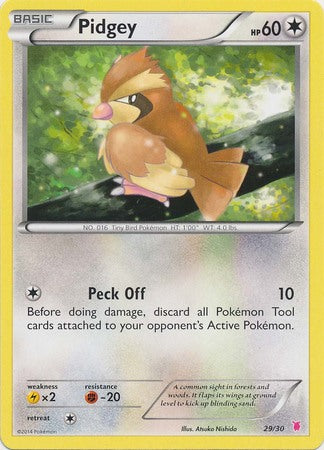 Pidgey (29/30) [XY: Trainer Kit 1 - Wigglytuff] | Nerdhalla Games