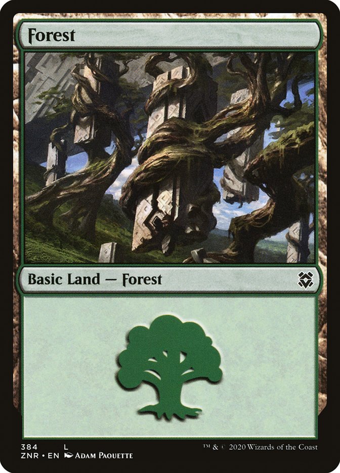 Forest (384) [Zendikar Rising] | Nerdhalla Games