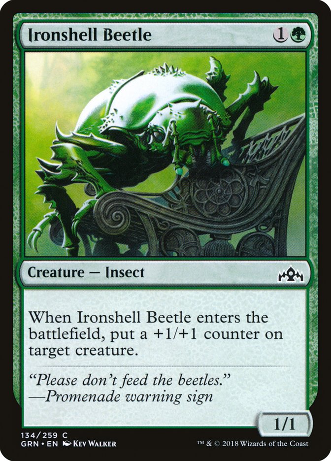 Ironshell Beetle [Guilds of Ravnica] | Nerdhalla Games