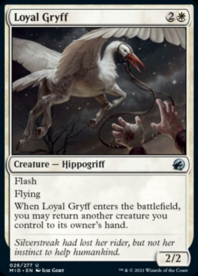 Loyal Gryff [Innistrad: Midnight Hunt] | Nerdhalla Games