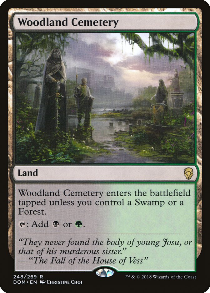 Woodland Cemetery [Dominaria] | Nerdhalla Games