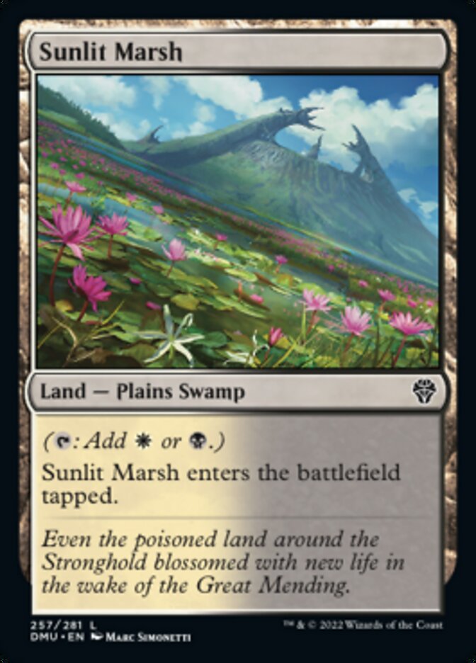 Sunlit Marsh [Dominaria United] | Nerdhalla Games