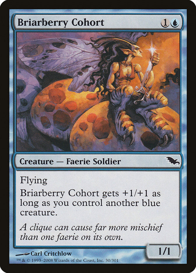 Briarberry Cohort [Shadowmoor] | Nerdhalla Games