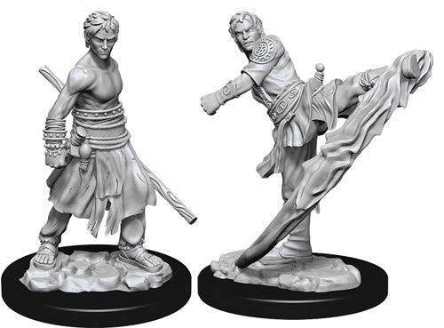 WizKids: Nolzur's Marvelous Miniatures Wave #10 - Half-Elf Monk Male | Nerdhalla Games