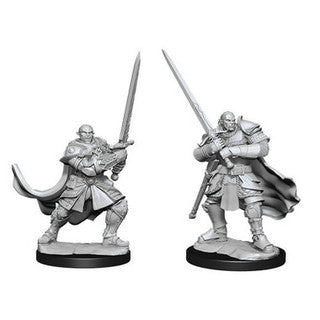 Wizkids:  Nolzur's Marvelous Miniatures Wave #15 - Half-orc Paladin | Nerdhalla Games