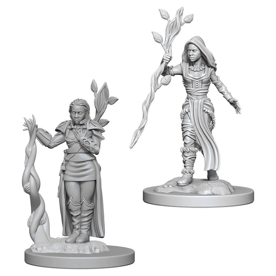 WizKids: Nolzur's Marvelous Miniatures Wave #2 -  Human Druid Female | Nerdhalla Games