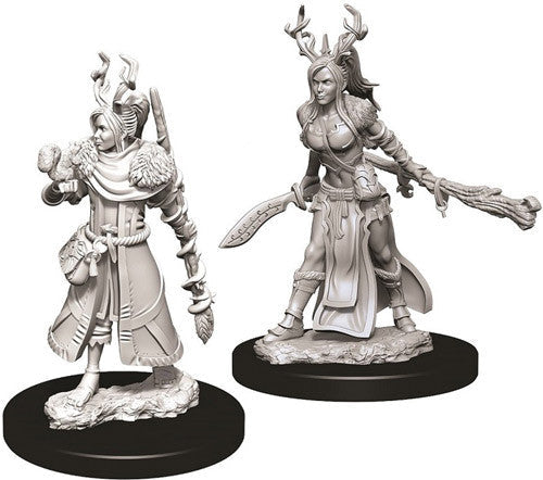 WizKids: Nolzur's Marvelous Miniatures Wave #9 - Human Druid Female | Nerdhalla Games