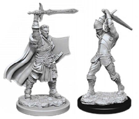 WizKids: Nolzur's Marvelous Miniatures Wave #12 - Human Paladin Male | Nerdhalla Games