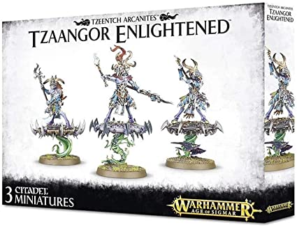 Warhammer Age of Sigmar Miniatures - Disciples of Tzeentch | Nerdhalla Games