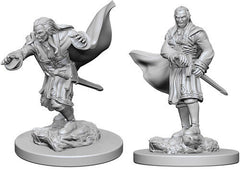 WizKids: Nolzur's Marvelous Miniatures Wave #1 - Vampires | Nerdhalla Games