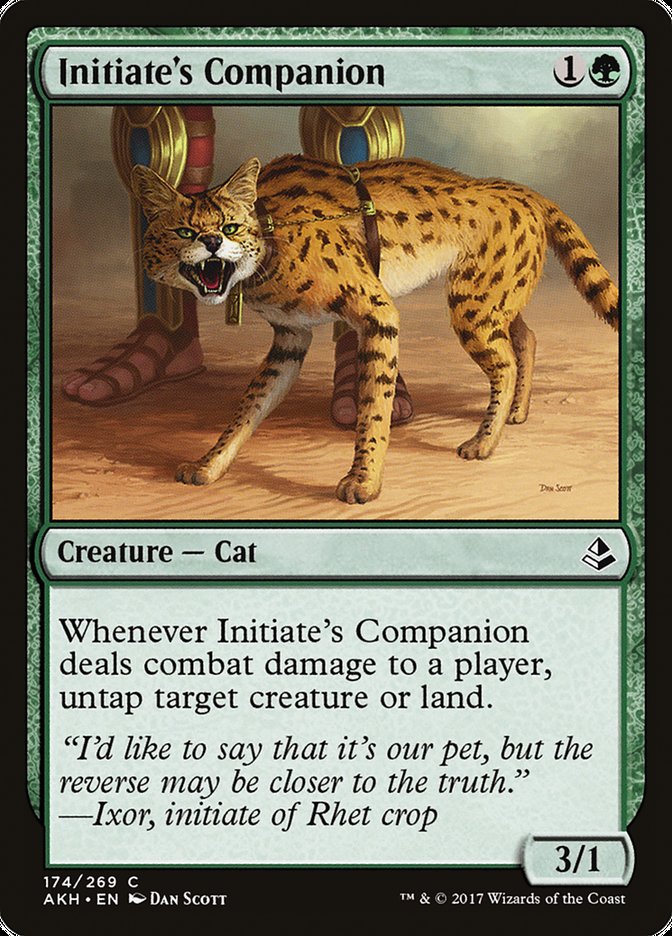 Initiate's Companion [Amonkhet] | Nerdhalla Games