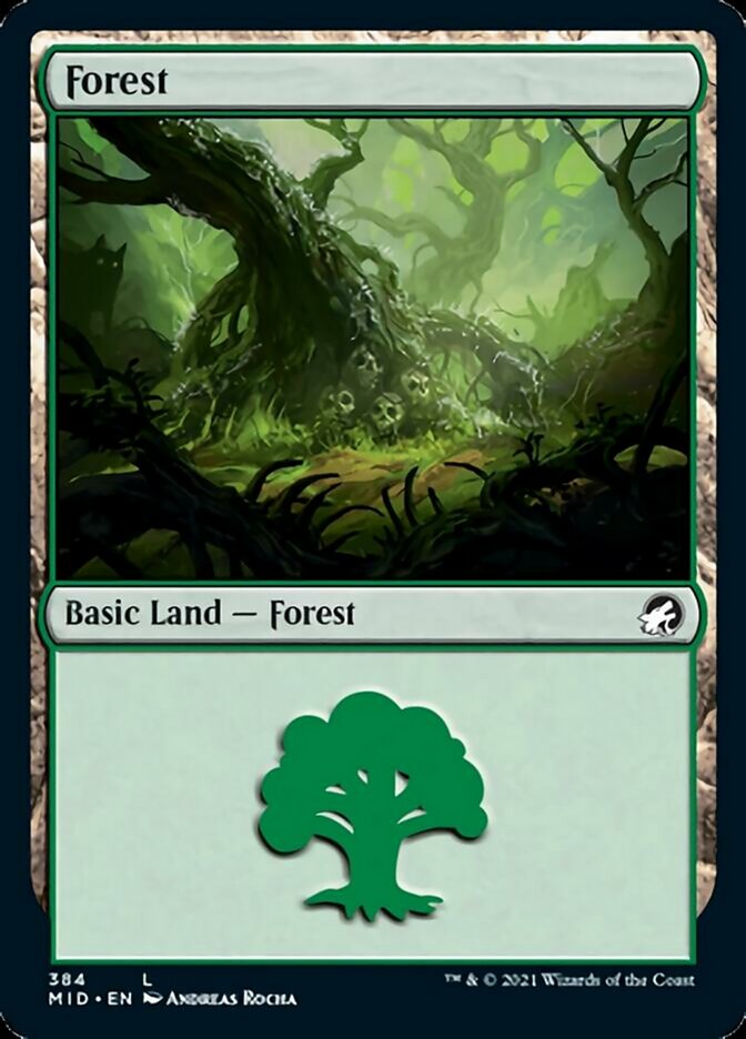 Forest (384) [Innistrad: Midnight Hunt] | Nerdhalla Games