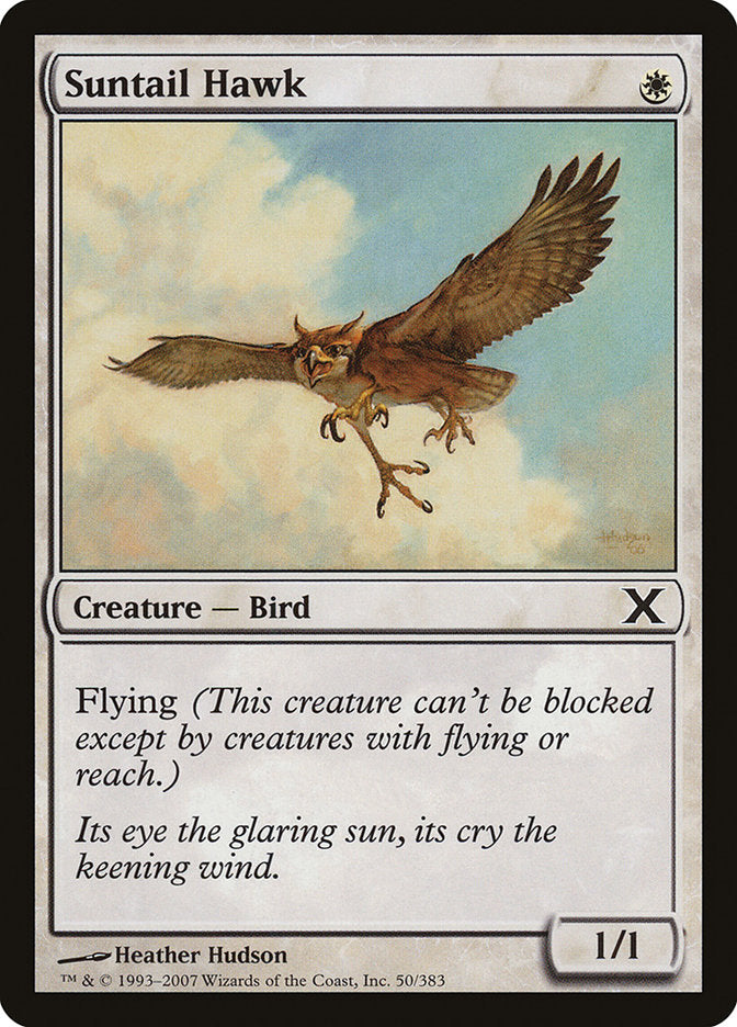 Suntail Hawk [Tenth Edition] | Nerdhalla Games