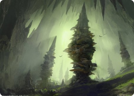 Forest (280) Art Card [Dungeons & Dragons: Adventures in the Forgotten Realms Art Series] | Nerdhalla Games