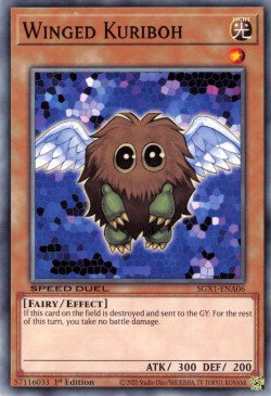 Winged Kuriboh [SGX1-ENA06] Common | Nerdhalla Games